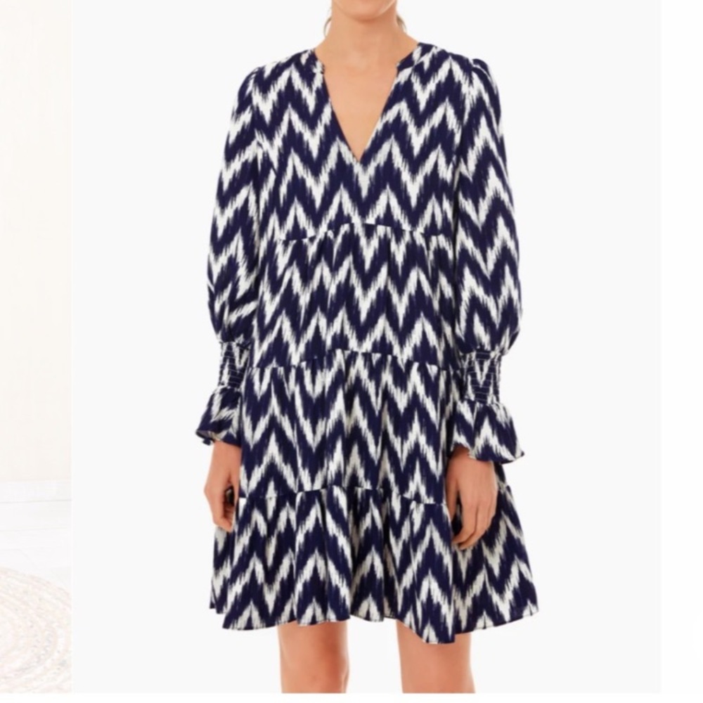 Tuckernuck Navy and White Chevron Dress
